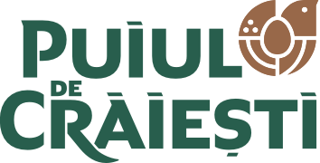PUIUL DE CRAIESTI